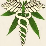 El uso medicinal del Cannabis